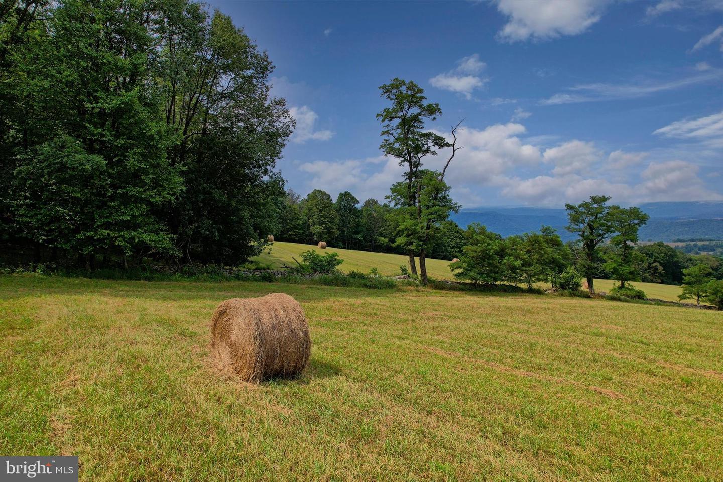 21205 Long Mountain Road Property Photo 42
