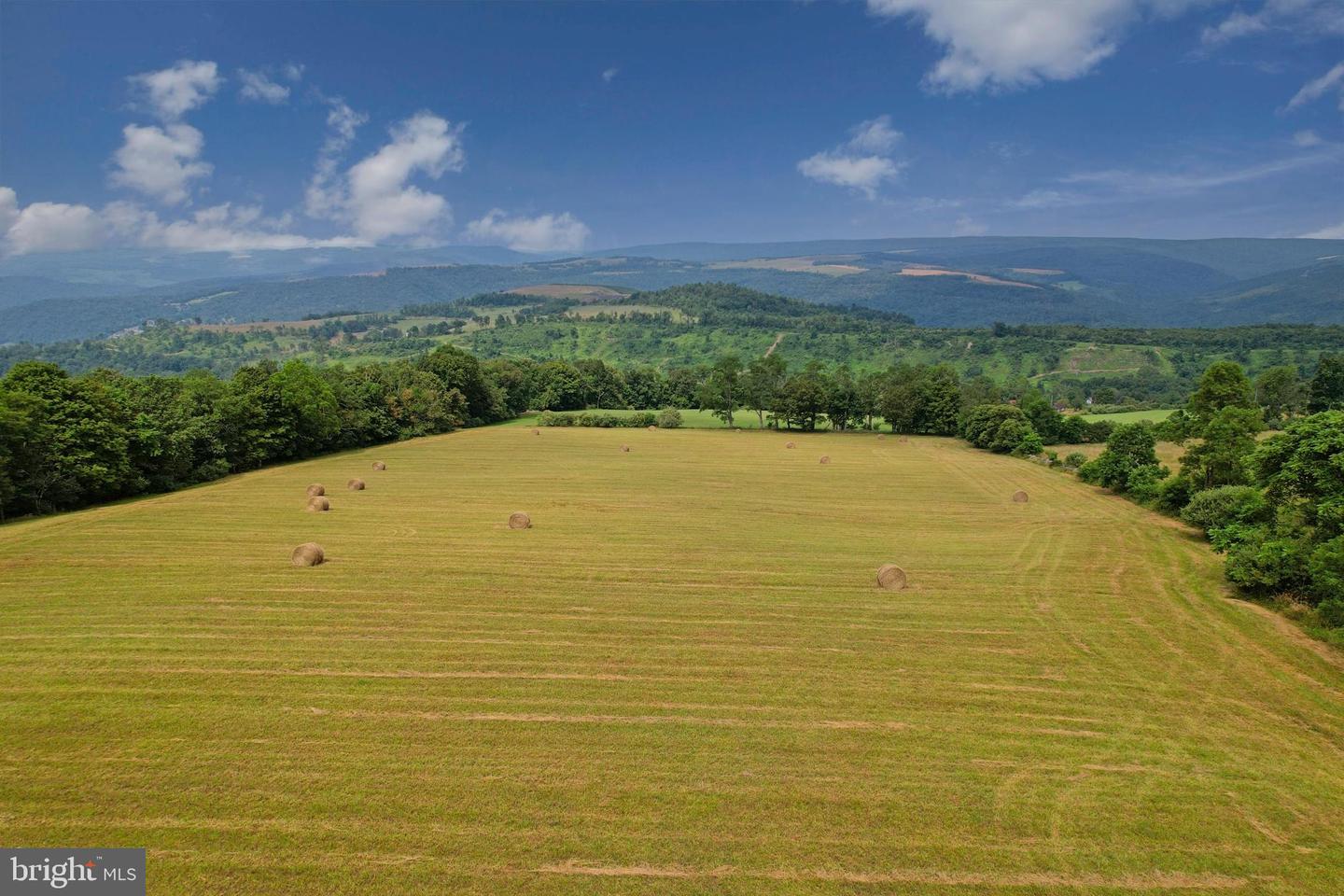 21205 Long Mountain Road Property Photo 43