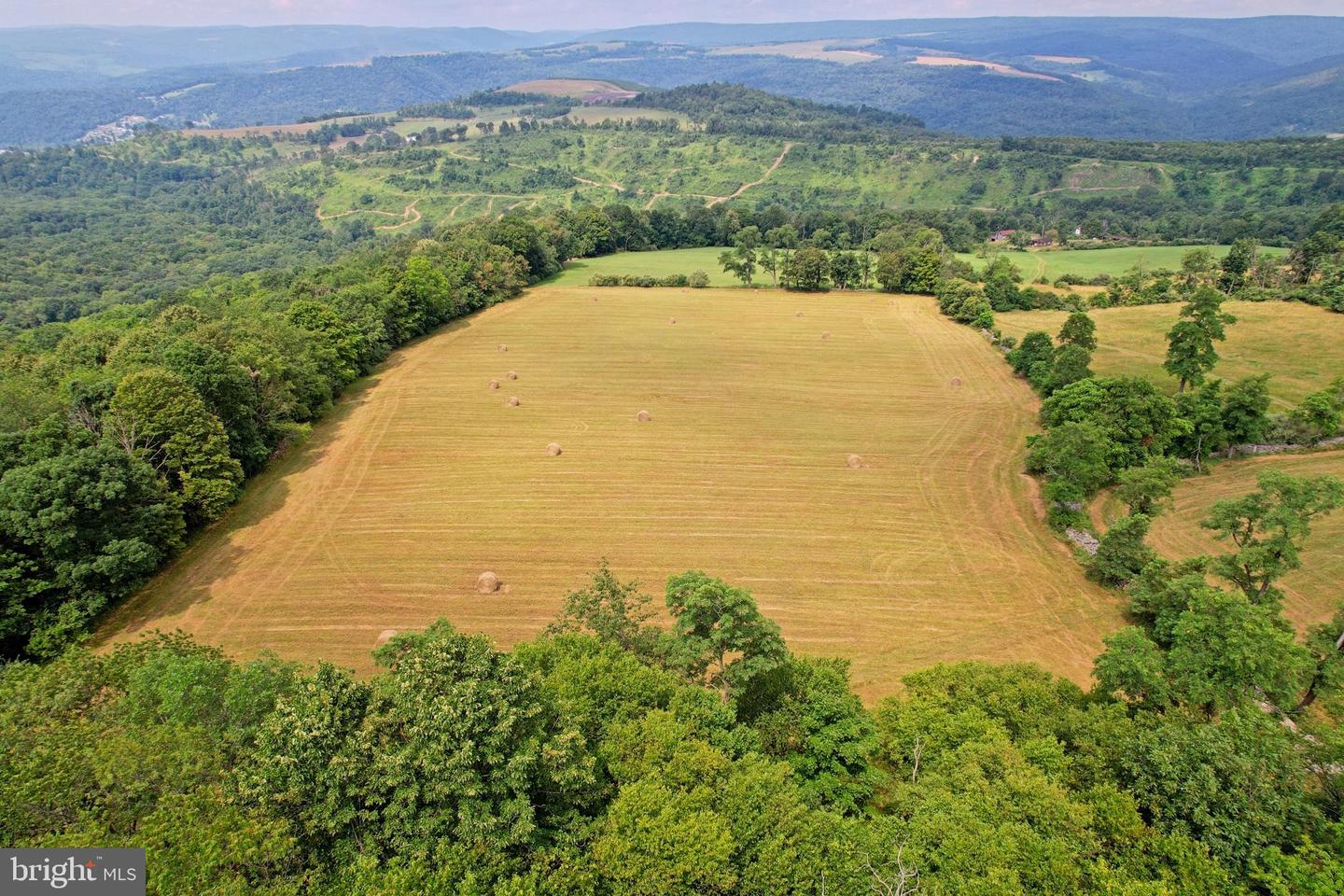 21205 Long Mountain Road Property Photo 44