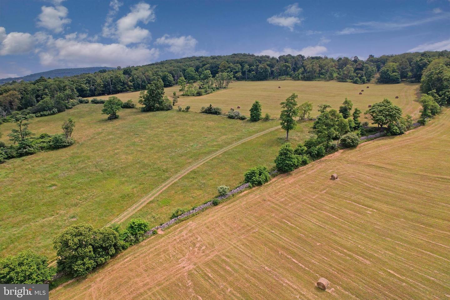 21205 Long Mountain Road Property Photo 46