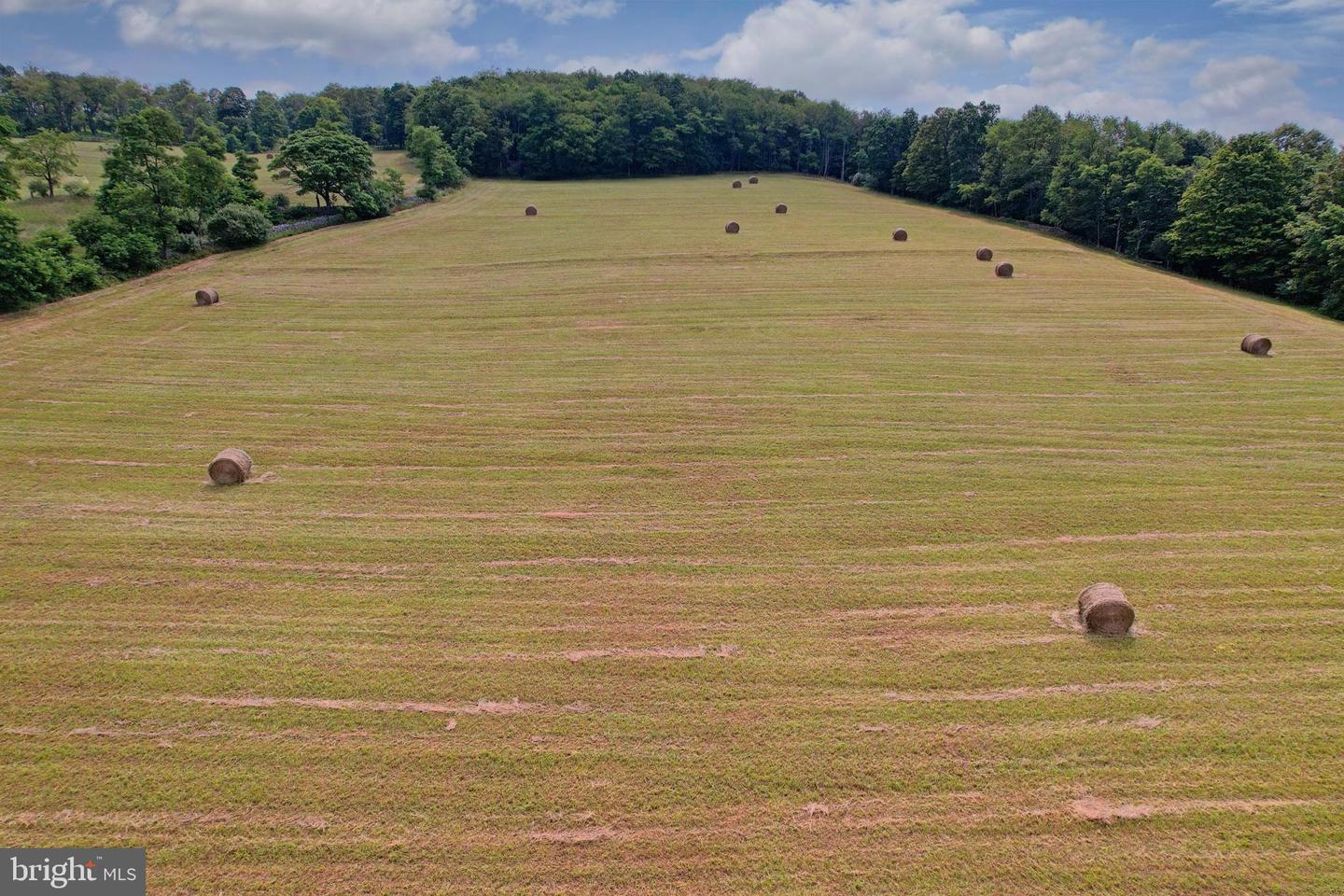 21205 Long Mountain Road Property Photo 47