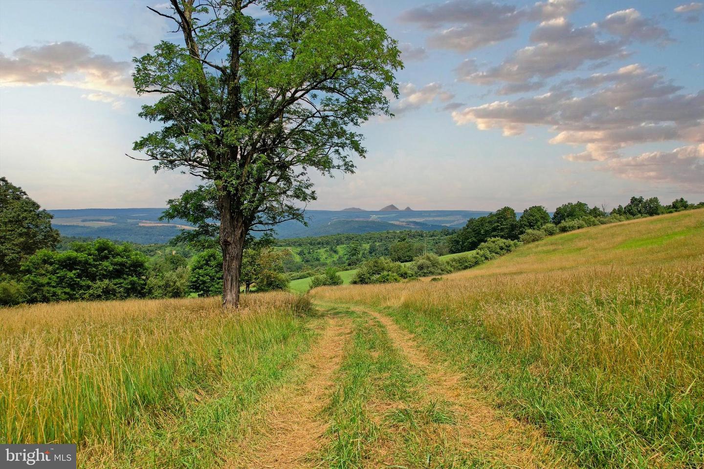 21205 Long Mountain Road Property Photo 49