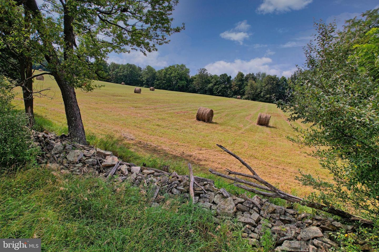 21205 Long Mountain Road Property Photo 50