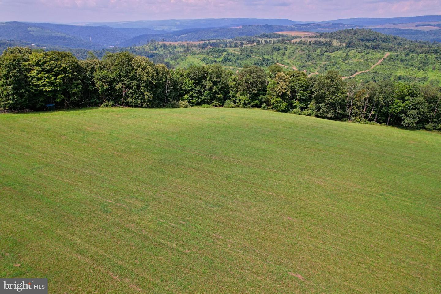 21205 Long Mountain Road Property Photo 53