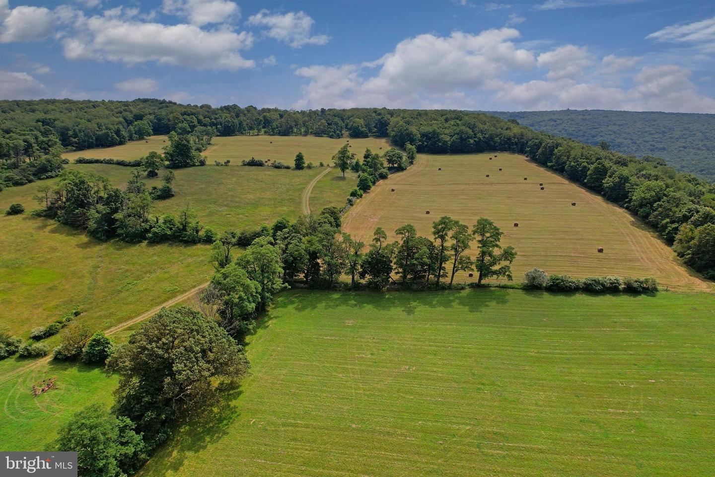 21205 Long Mountain Road Property Photo 58