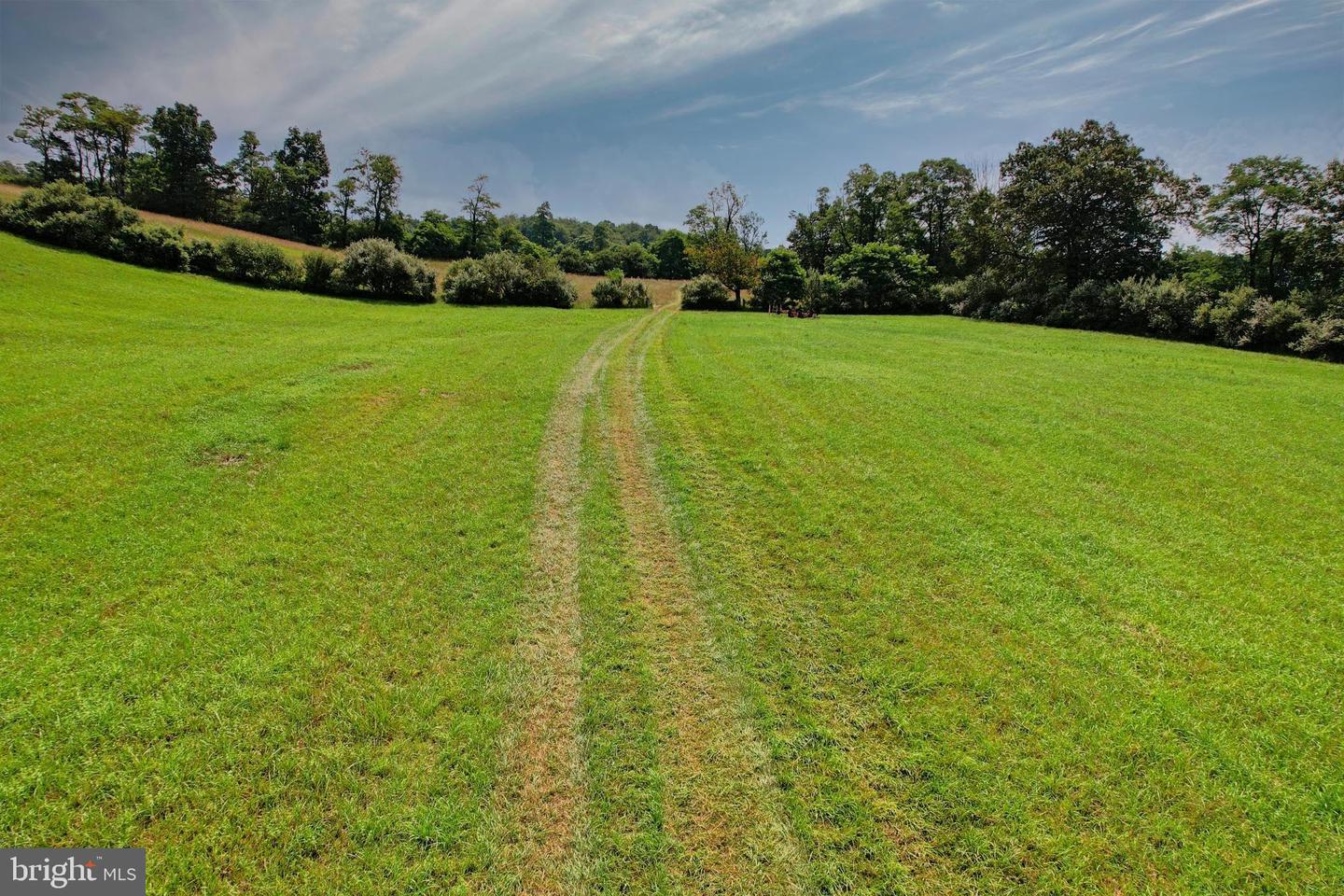 21205 Long Mountain Road Property Photo 62