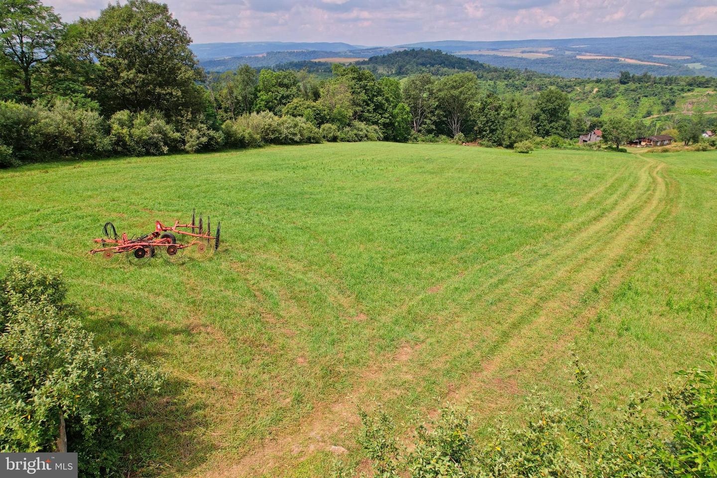 21205 Long Mountain Road Property Photo 65