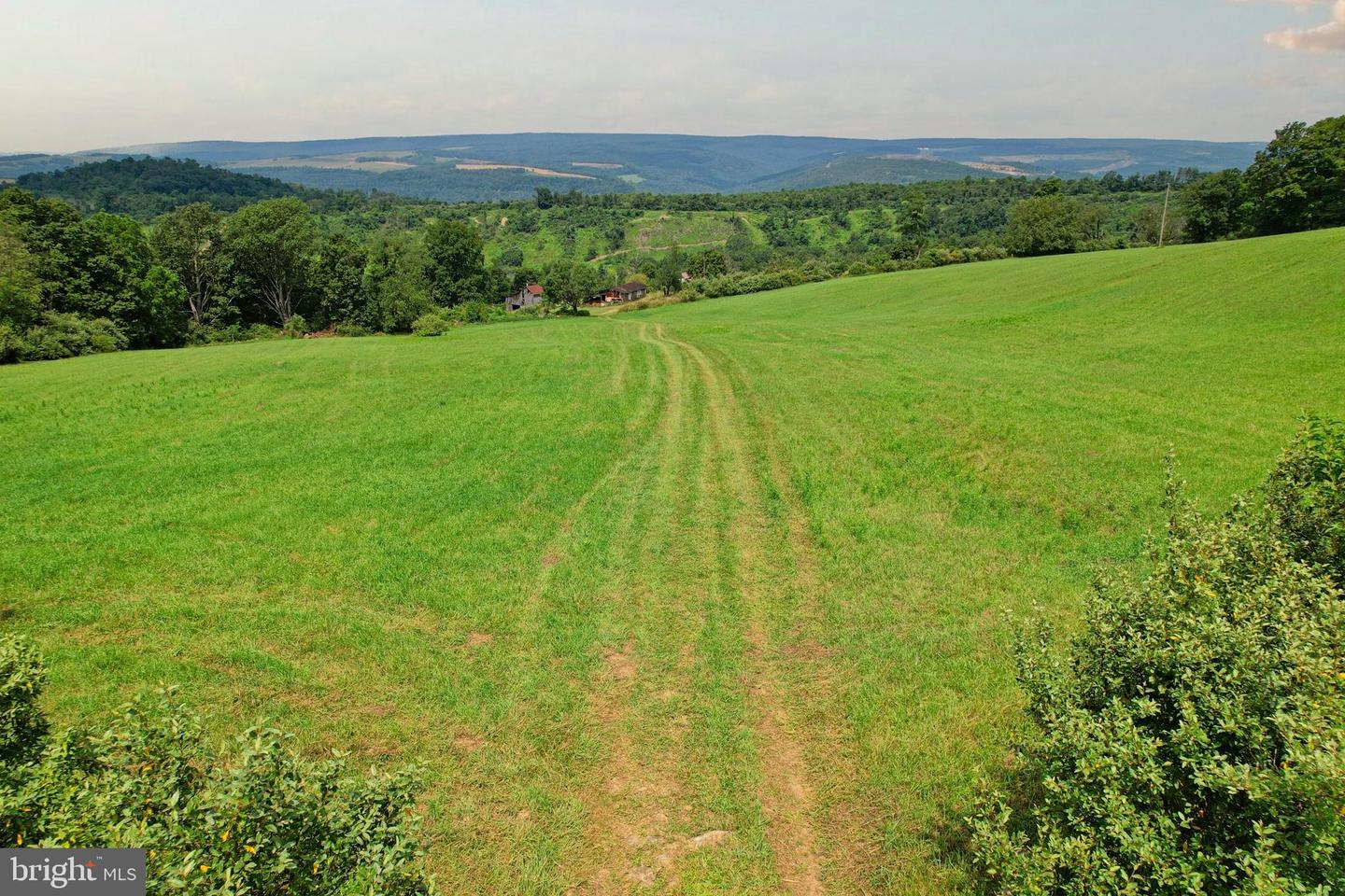 21205 Long Mountain Road Property Photo 66