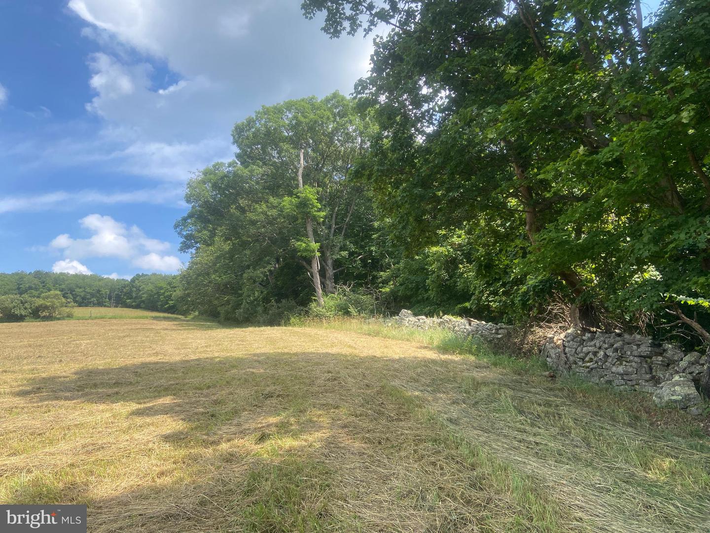 21205 Long Mountain Road Property Photo 102