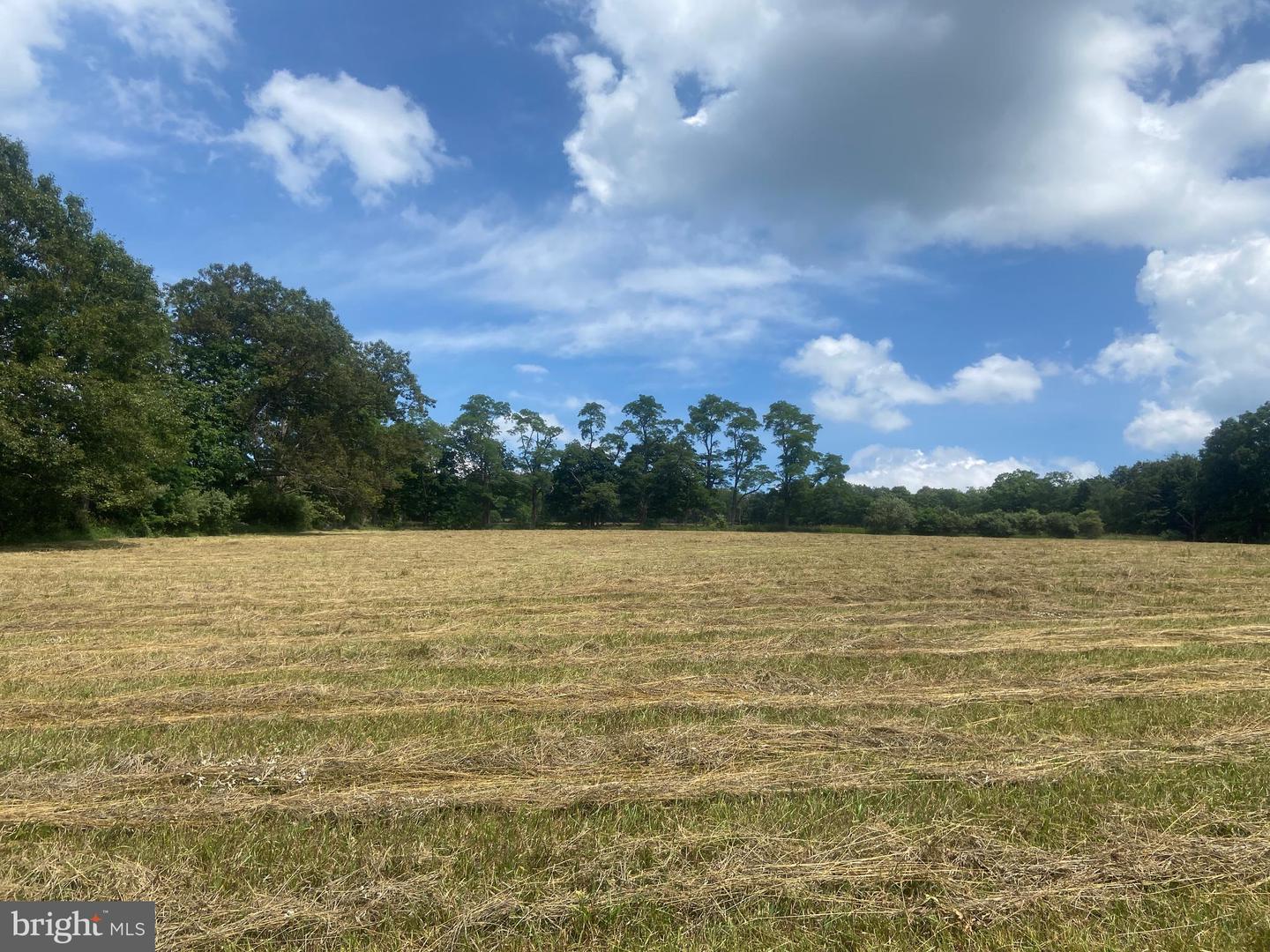 21205 Long Mountain Road Property Photo 103
