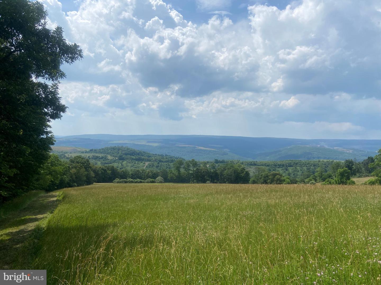 21205 Long Mountain Road Property Photo 105