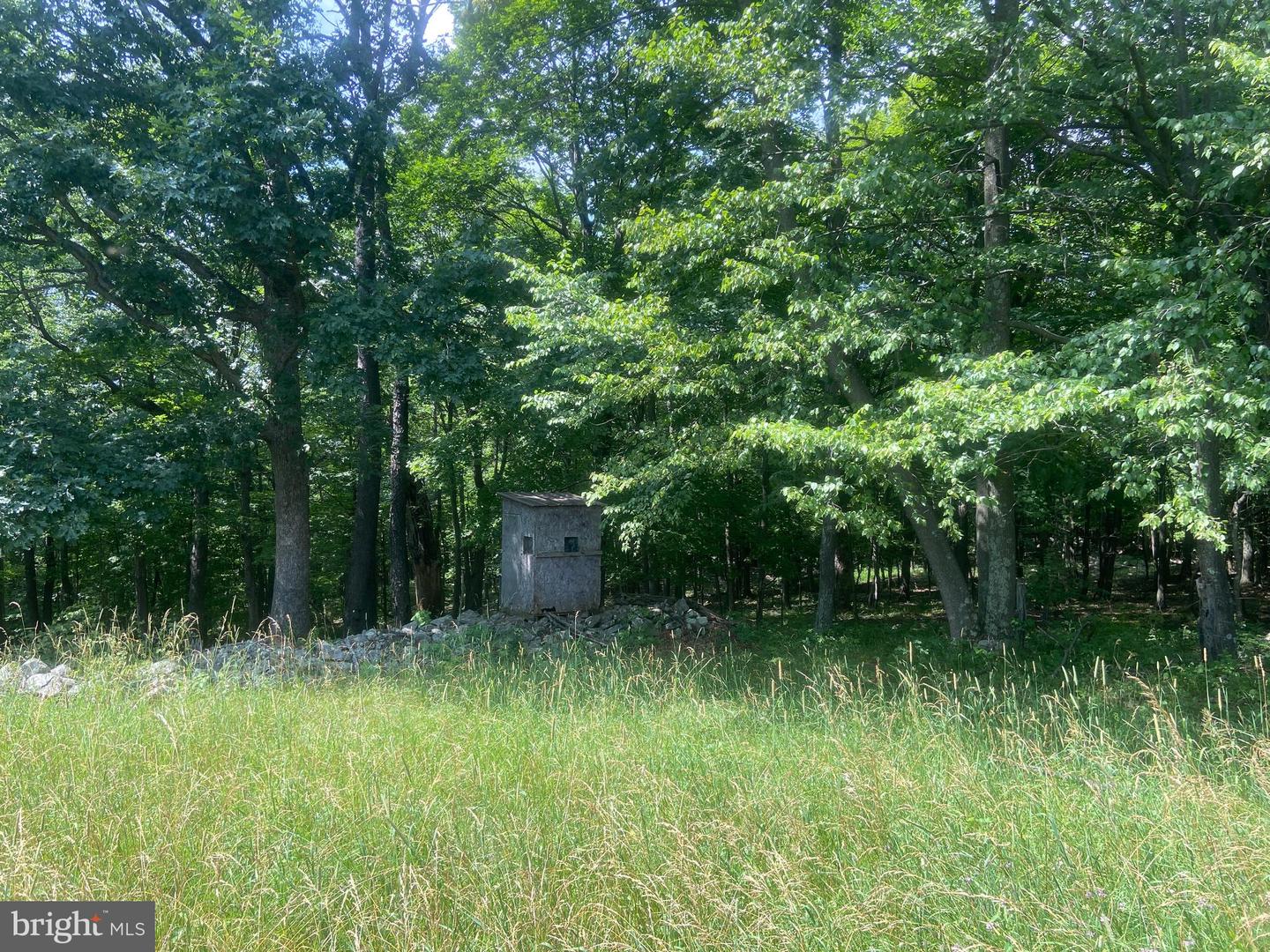 21205 Long Mountain Road Property Photo 106