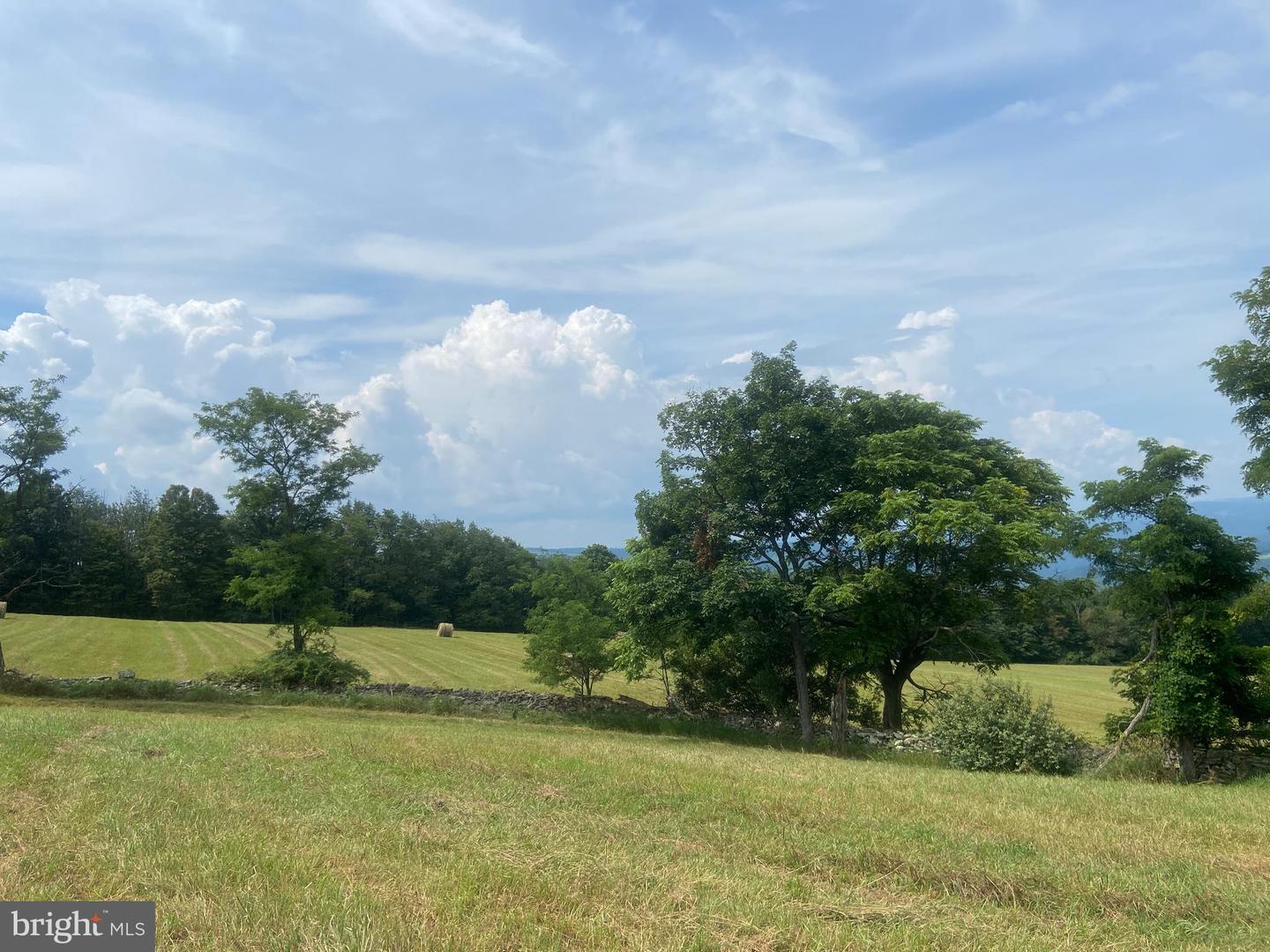 21205 Long Mountain Road Property Photo 107