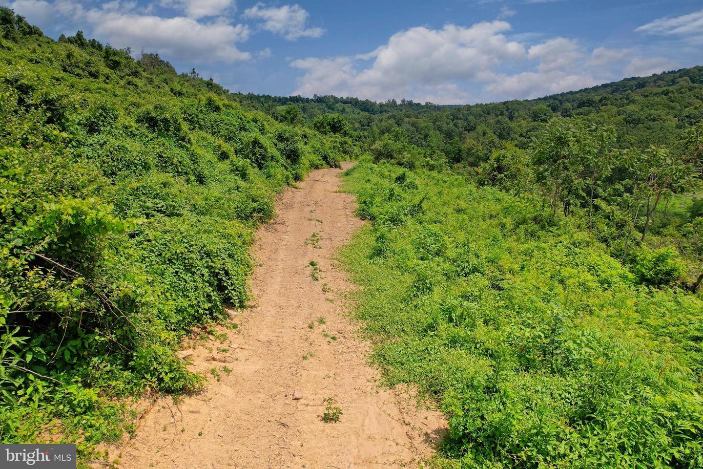 21205 Long Mountain Road Property Photo 117