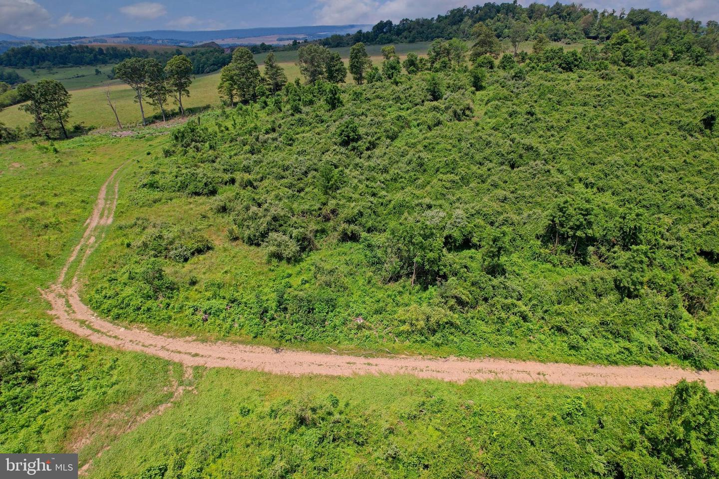 21205 Long Mountain Road Property Photo 125