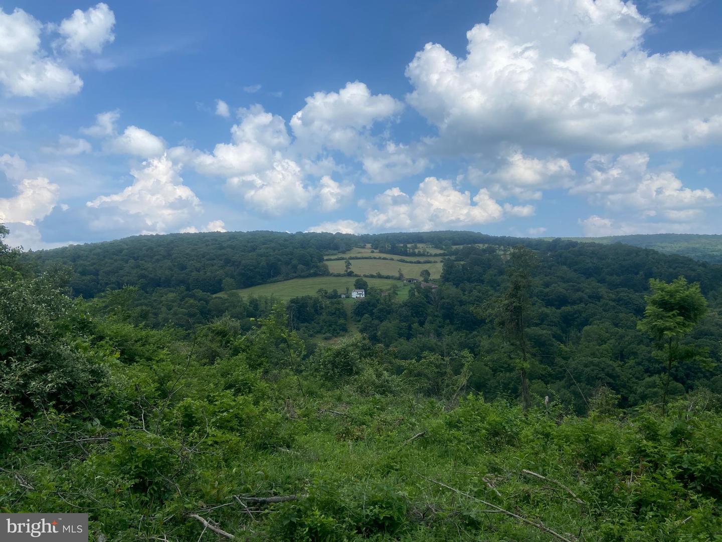 21205 Long Mountain Road Property Photo 128