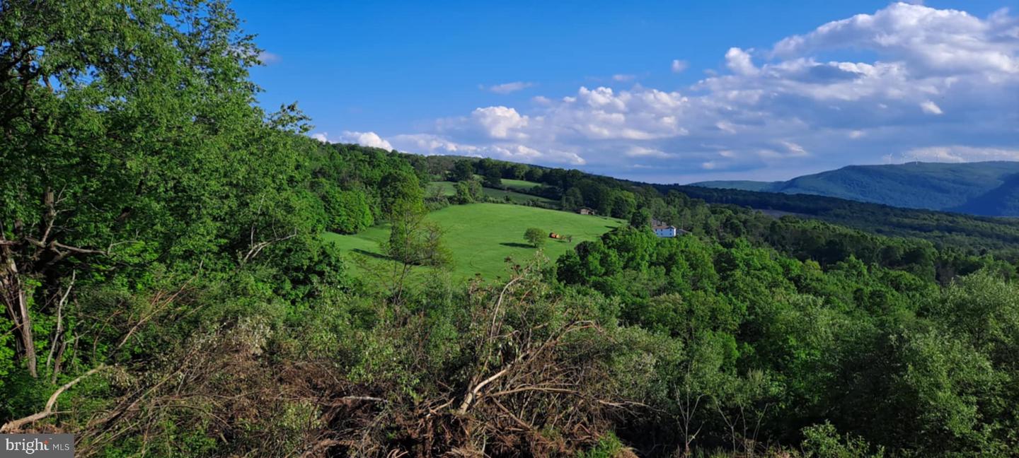 21205 Long Mountain Road Property Photo 129