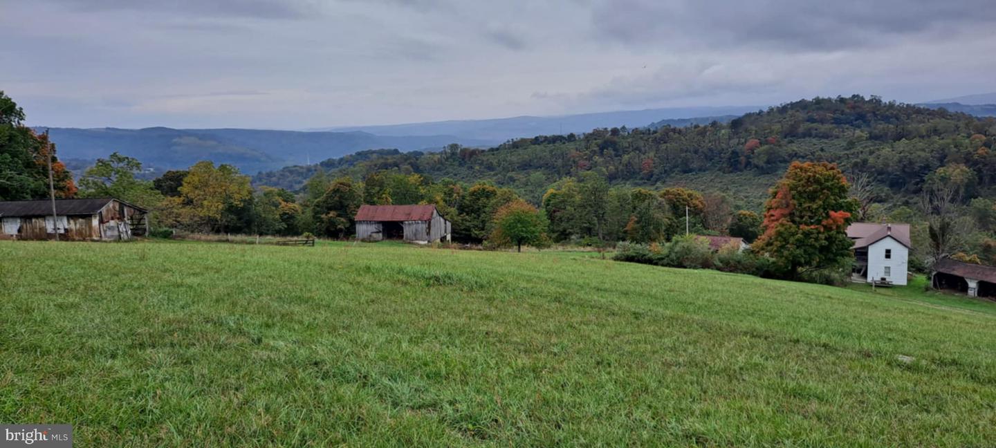 21205 Long Mountain Road Property Photo 133