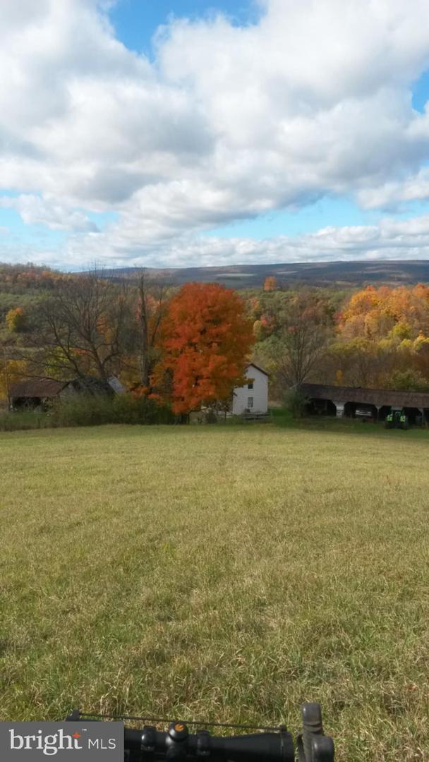 21205 Long Mountain Road Property Photo 135