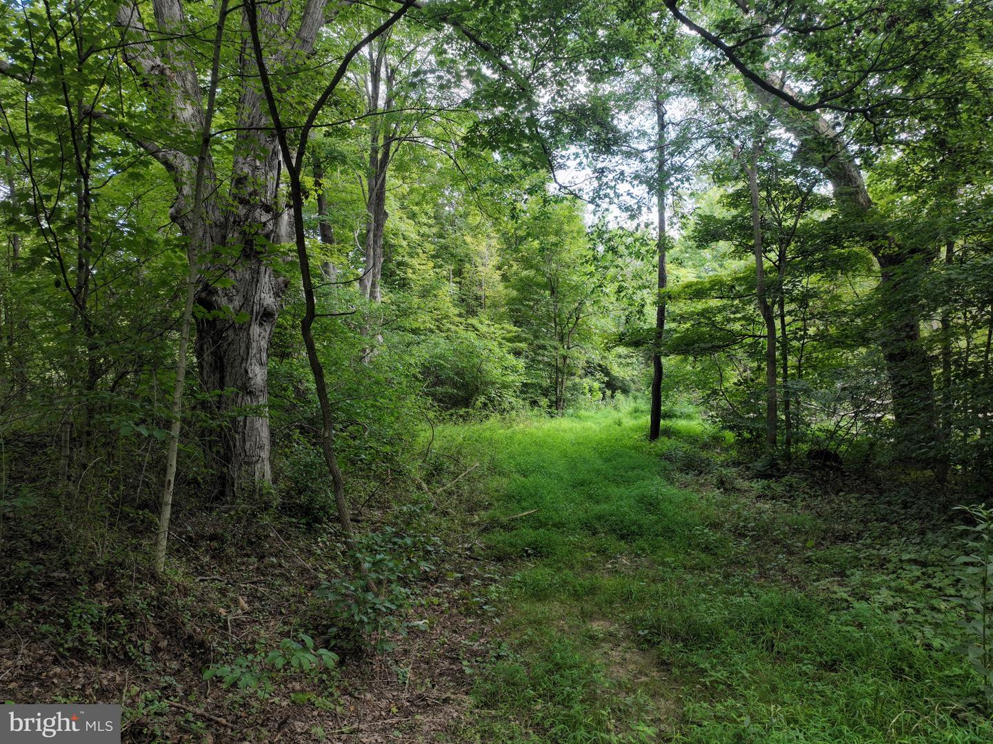 13900 Schellsburg Rd Property Photo 56
