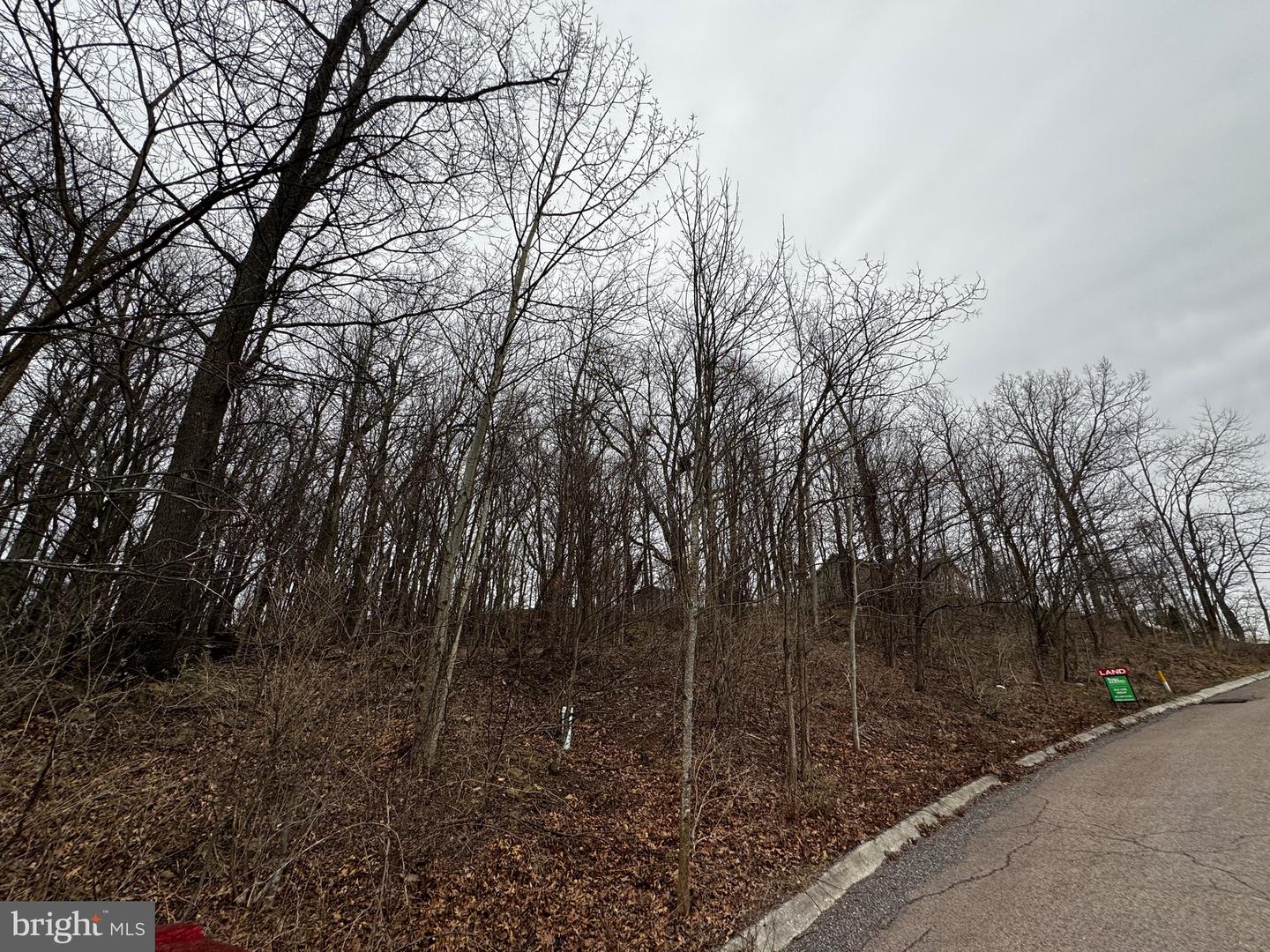 119 Braddock Hts Property Photo 2