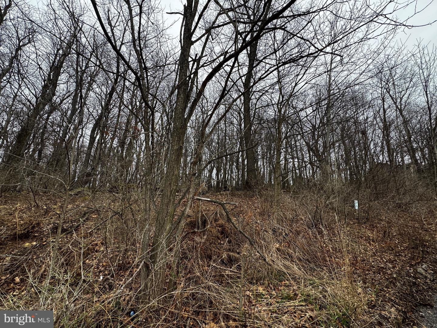 119 Braddock Hts Property Photo 3