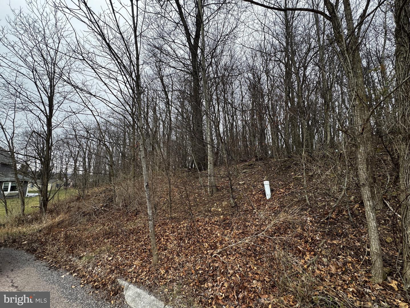 119 Braddock Hts Property Photo 4