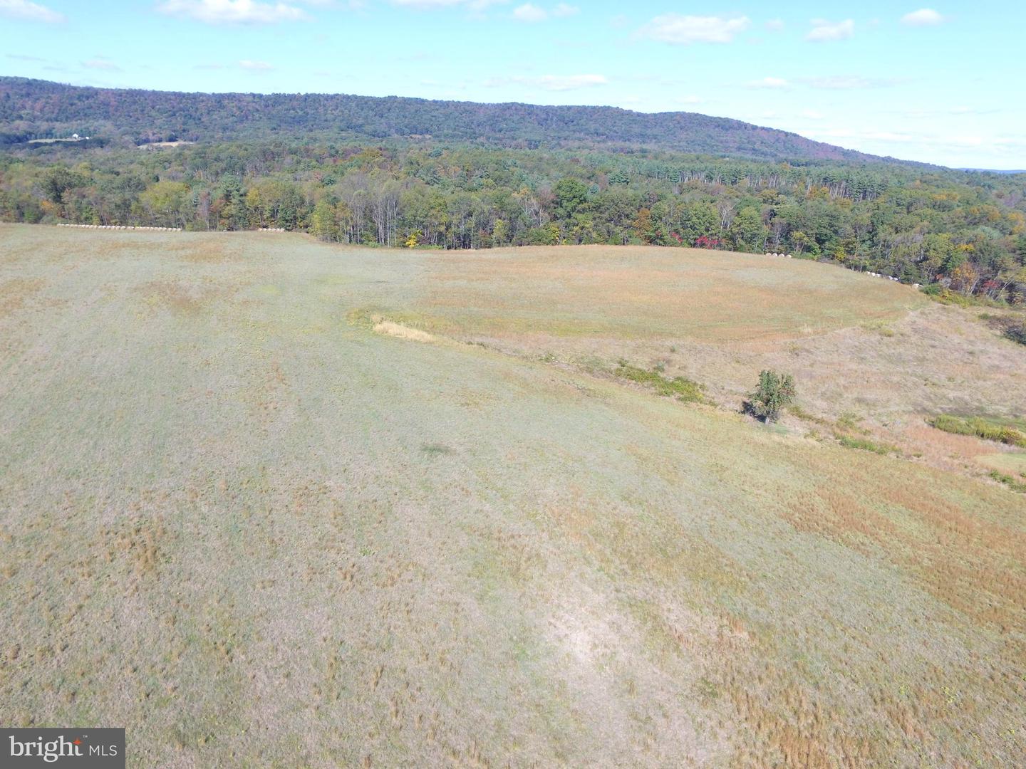 33225 National Pike Ne Property Photo 3