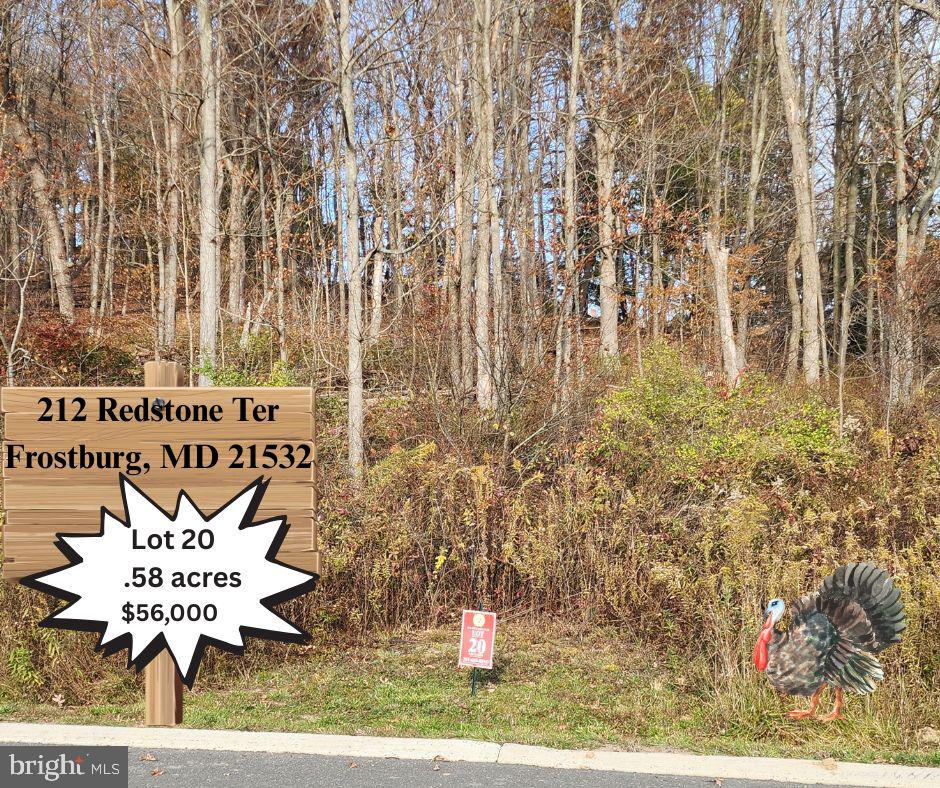 212 REDSTONE TER Property Photo 1