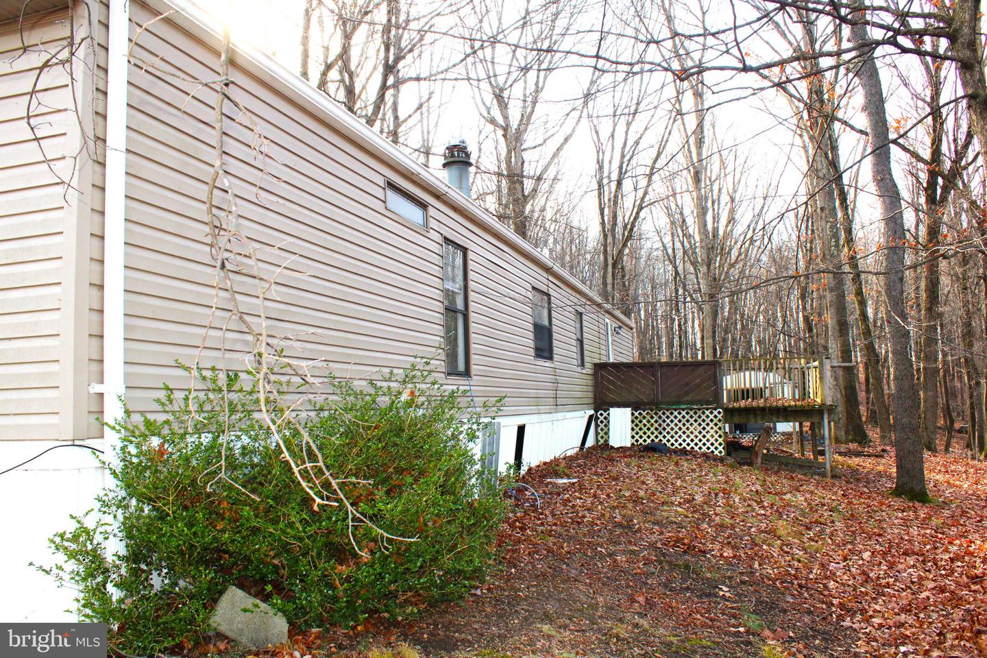 10509 Burton Park Property Photo 3