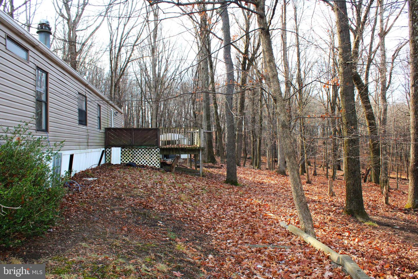 10509 Burton Park Property Photo 4