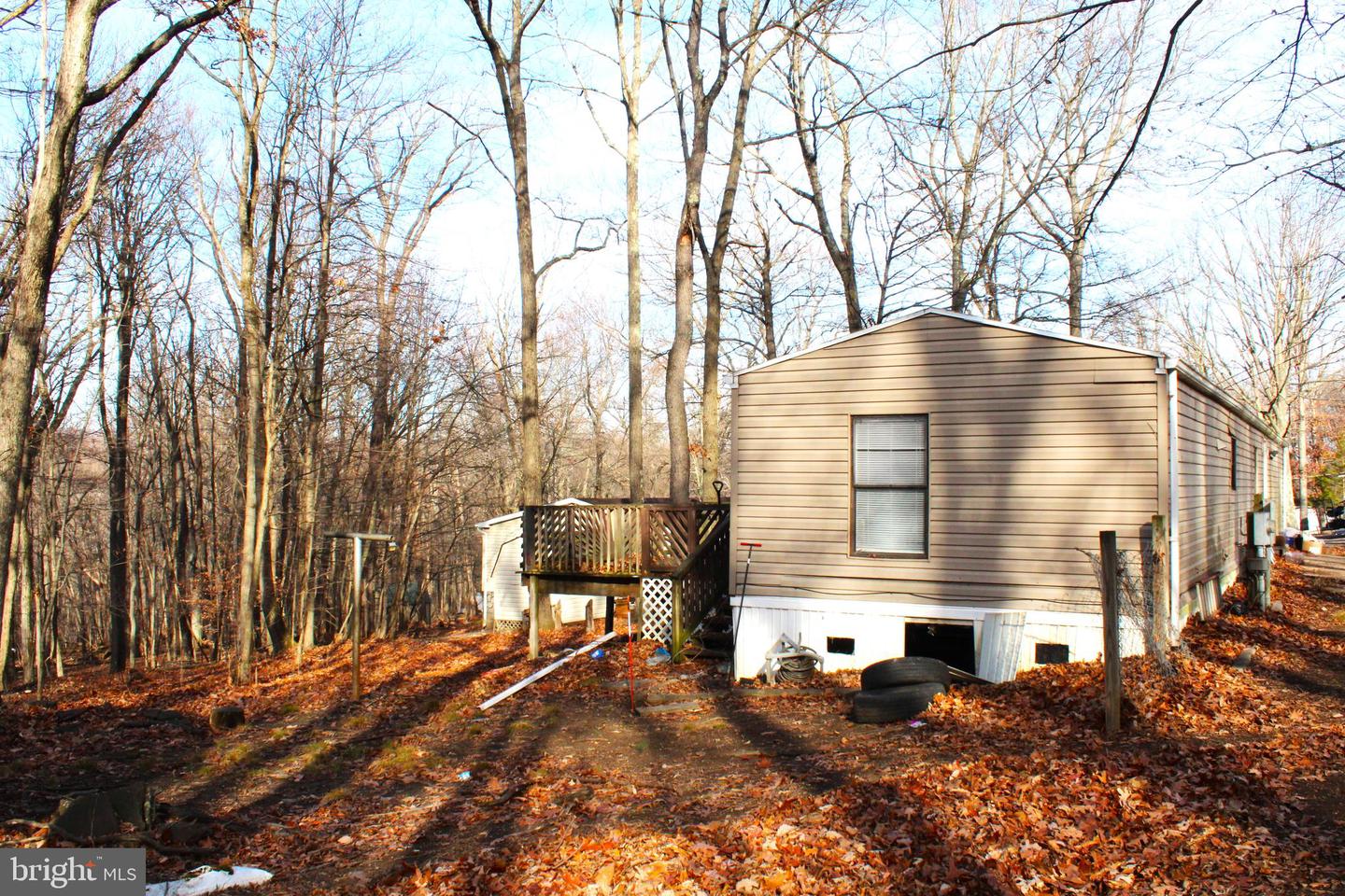 10509 Burton Park Property Photo 5