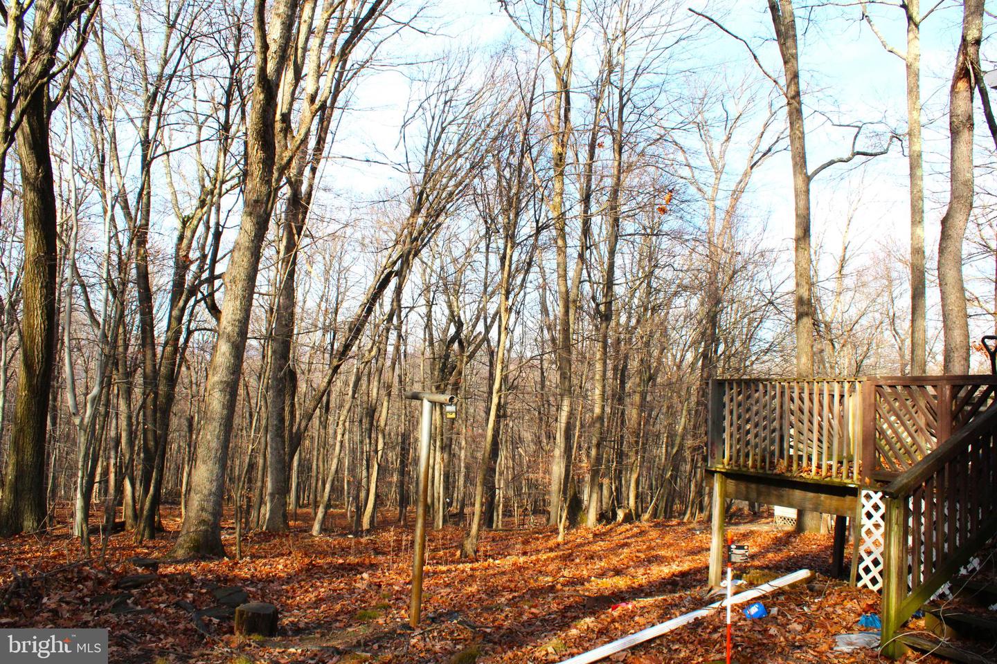10509 Burton Park Property Photo 6