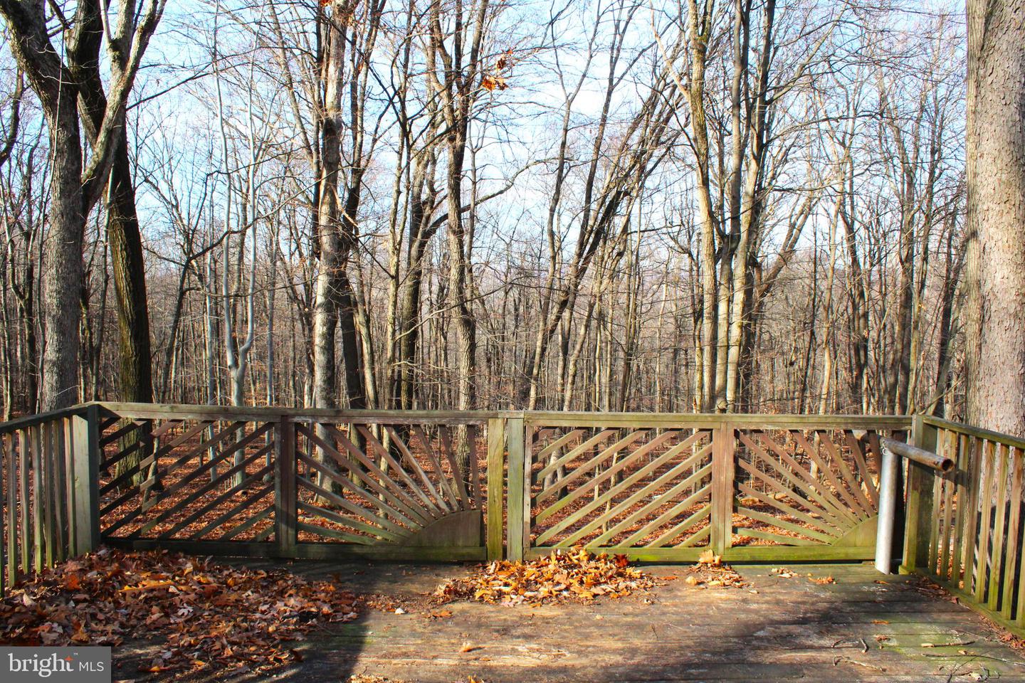 10509 Burton Park Property Photo 8