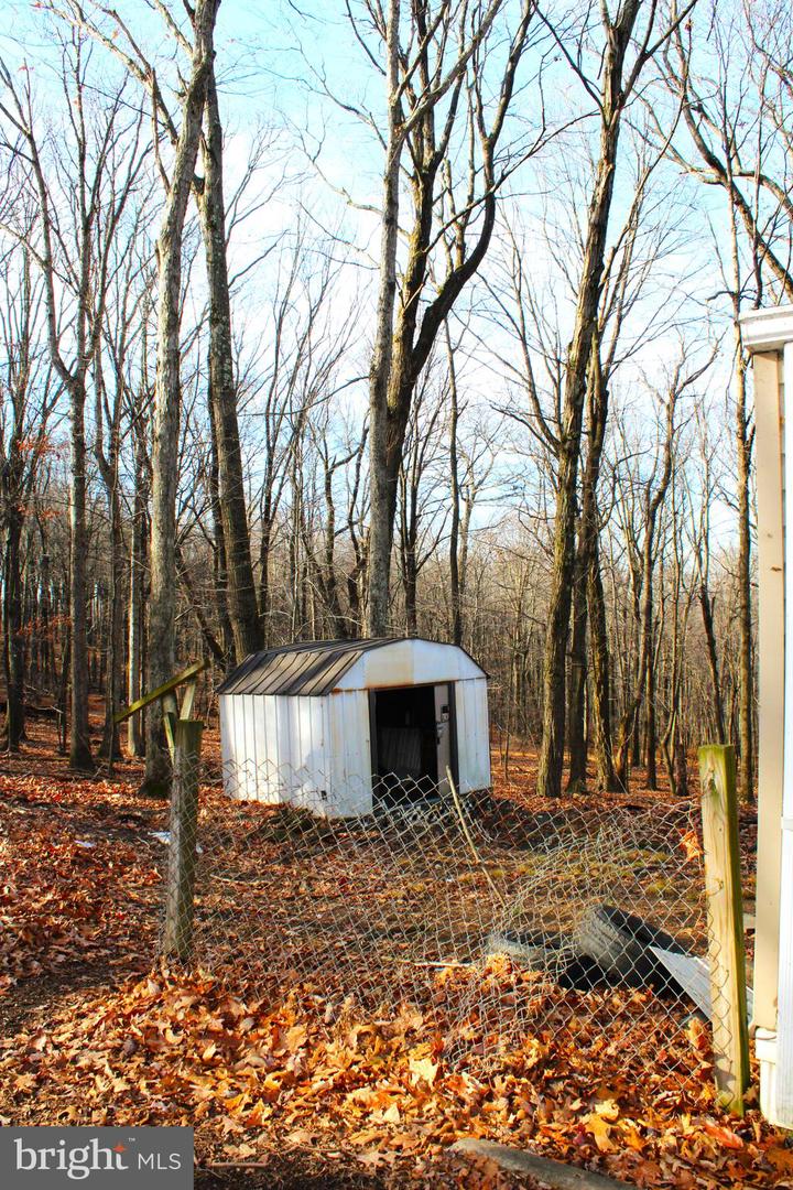 10509 Burton Park Property Photo 9