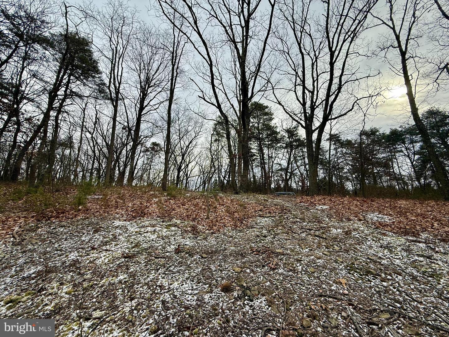 Oakwood St #lots 349-351 Property Photo 1