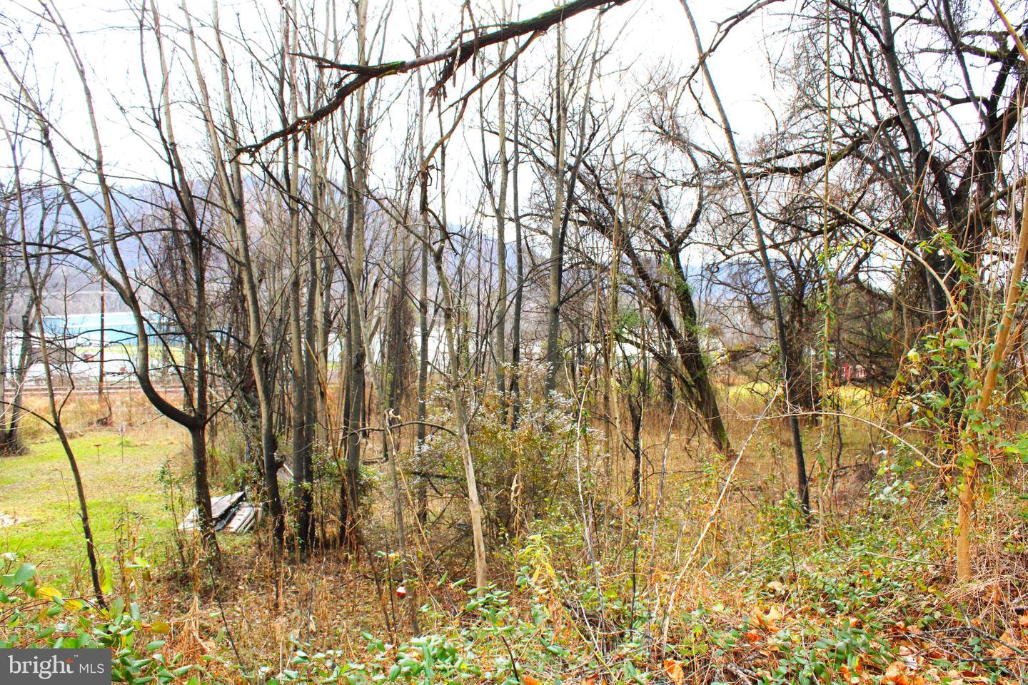 11902 Mcmullen Hwy Sw Property Photo 5