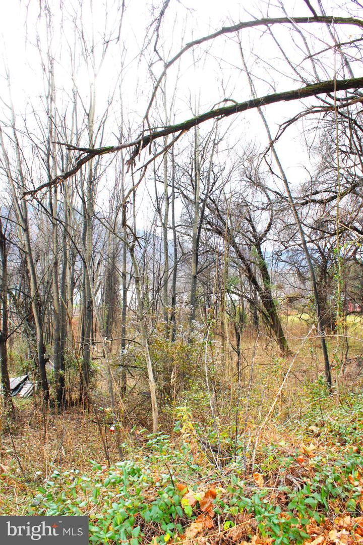 11902 Mcmullen Hwy Sw Property Photo 6