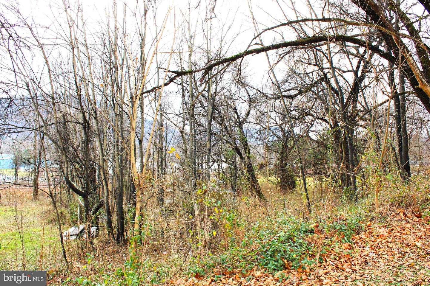 11902 Mcmullen Hwy Sw Property Photo 8