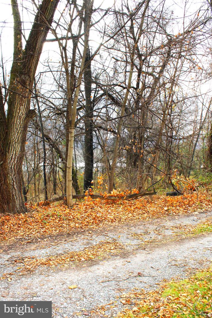 11902 Mcmullen Hwy Sw Property Photo 9