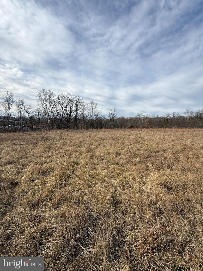 12301 Messick Rd Property Photo 5