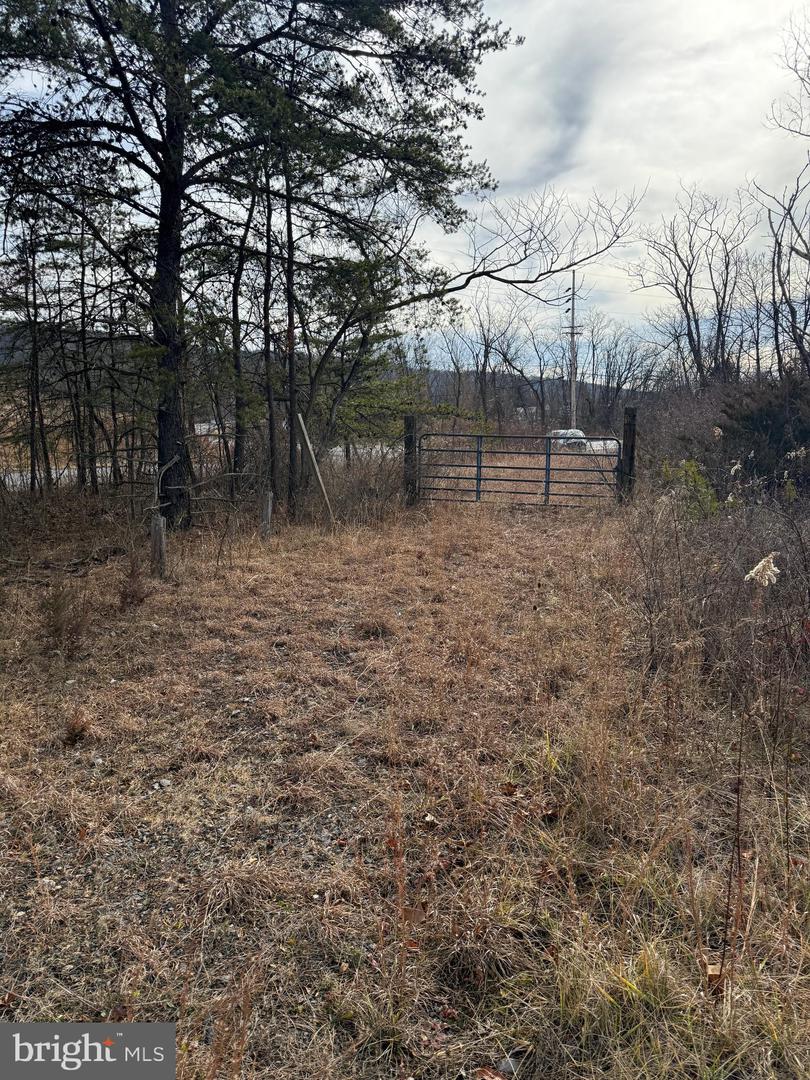 12301 Messick Rd Property Photo 8