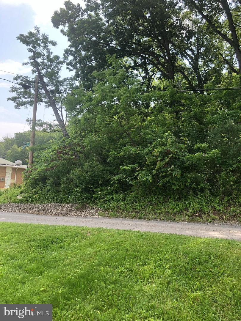 Mckenzie Rd Property Photo 1