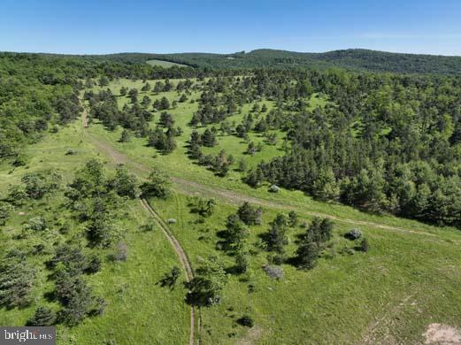 PINE HILL RD