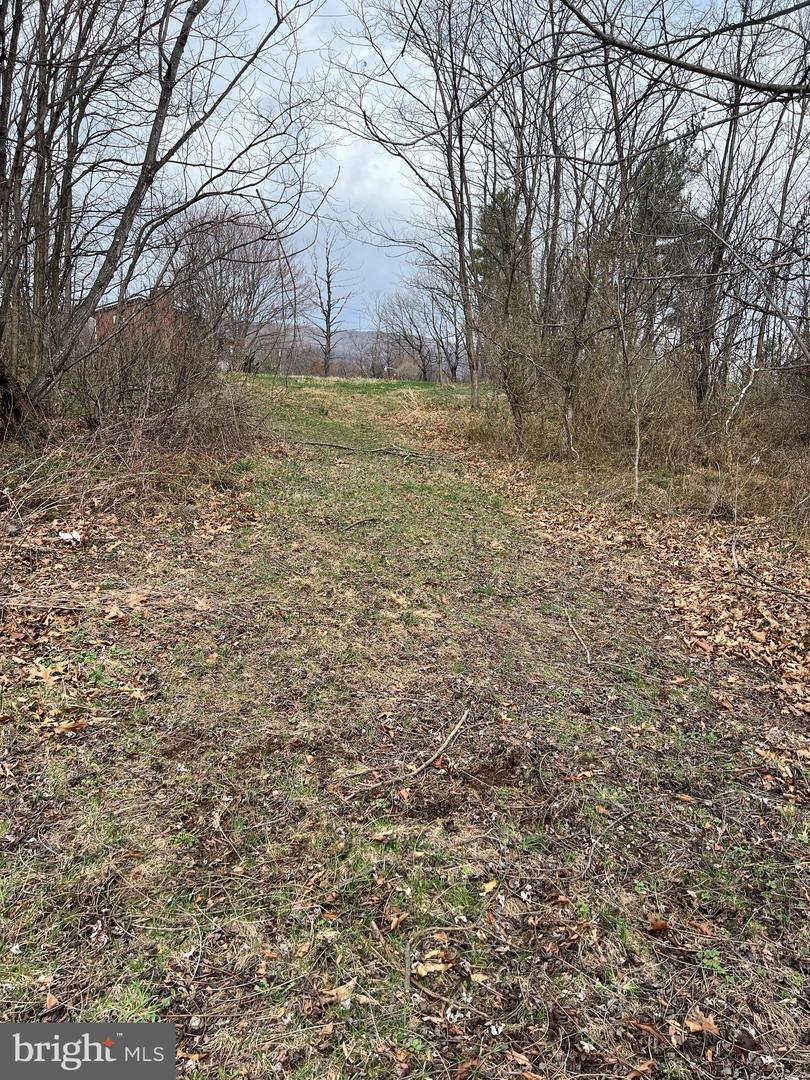 ROSE HILL DR