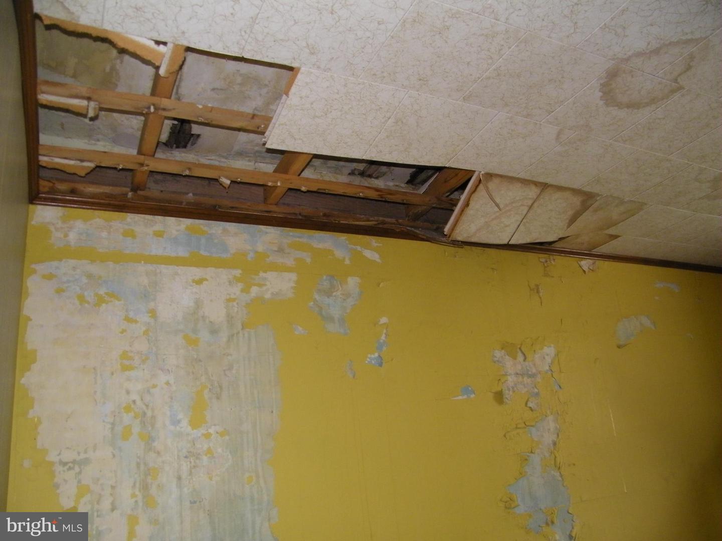 509 Maryland Ave Property Photo 18