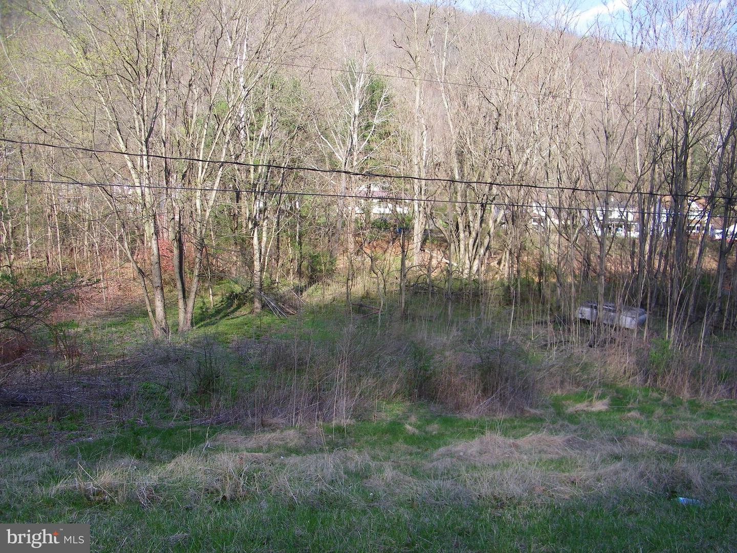 Route 36 Rd Property Photo 2