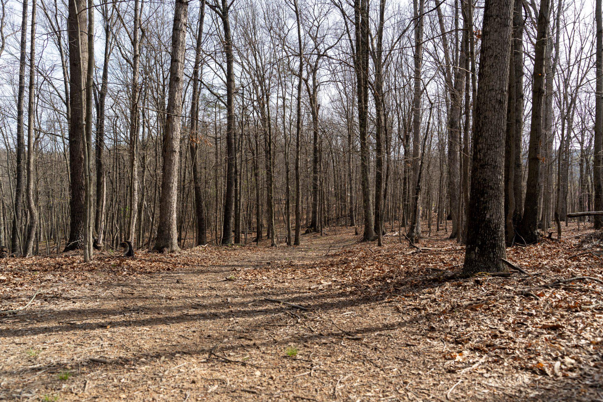 Walnut Ridge Rd Se Property Photo 3