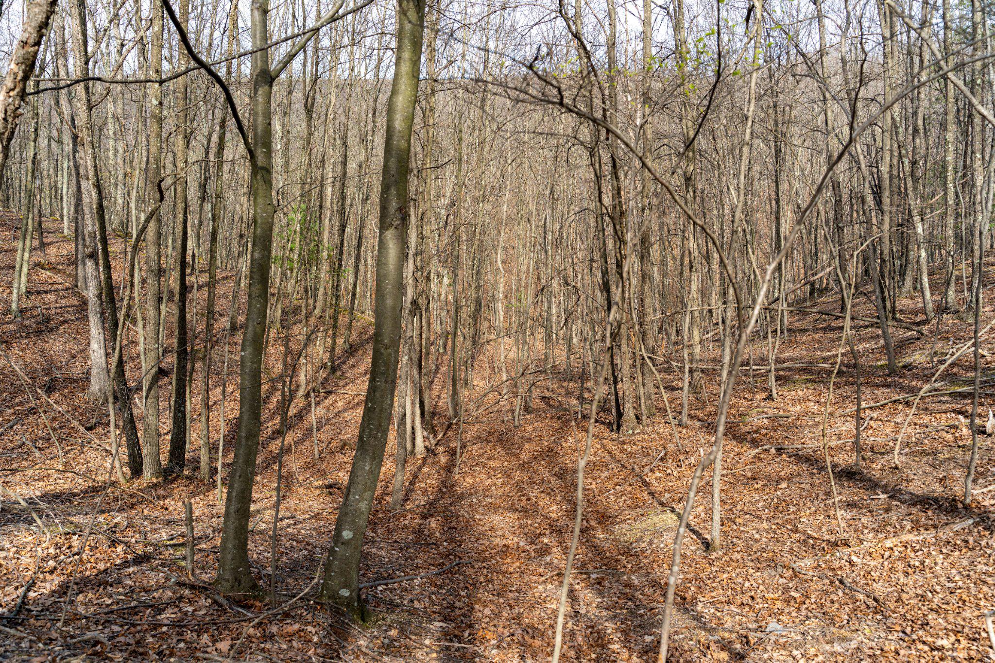 Walnut Ridge Rd Se Property Photo 6