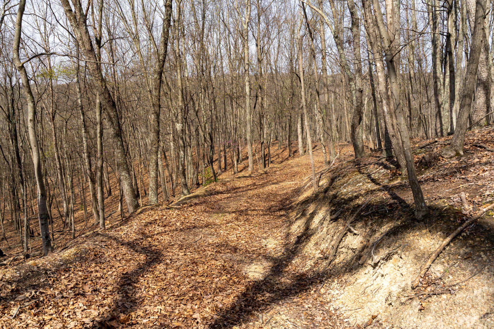 Walnut Ridge Rd Se Property Photo 10
